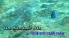 Tình Đơn Phương 2 (Karaoke)