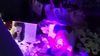 Love Yến Nhi Vol 1