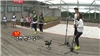 Running Man