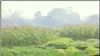 Về Hà Nam