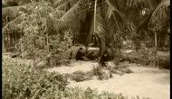 Chuyện Cơm Áo