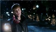 Mistletoe