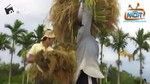 Cà Ơi ... Em Yêu Anh ! - Hoàng Văn Hiền