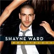 The Best Of Shayne Ward
