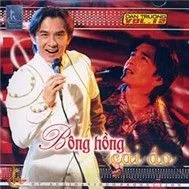 Bông Hồng Cài Áo (Vol 12)