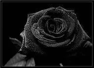 All