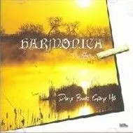 Dừng Bước Giang Hồ (Harmonica) (Vol 2)