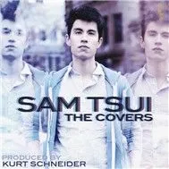 The Covers (2010)