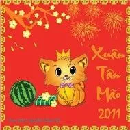 Xuân Tân Mão 2011