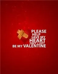 Valentine's Day 2011 (Vietnamese Music Collection)