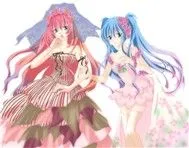 Megurine Luka & Miku Hatsune Collection