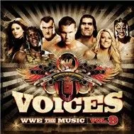 The Music Vol.9 (2009)