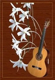 Guitar: Nhớ Mùa Thu Hà Nội