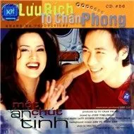Một Chút Ân Tình