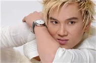 Lâm Chấn Huy Và Những Ca Khúc Chủ Đề Album
