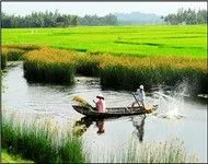 Tuyệt Phẩm Quê Hương (Song Ca)