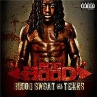 Blood Sweat And Tears (2011)
