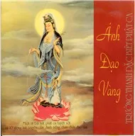 Ánh Đạo Vàng