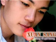 Xuân Sáng - Đường về quê hương