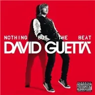 Nothing But The Beat (2011)