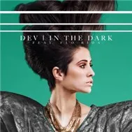 In The Dark (Single 2011)