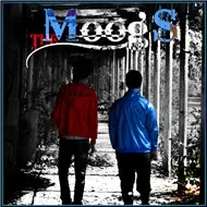 Levels (The Moogs Remix)