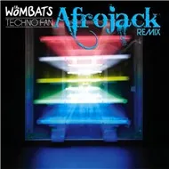 Techno Fan (Afrojack Remix 2011)