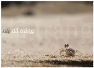 Kiếp dã tràng Single