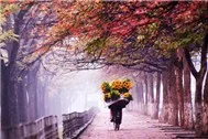 Tôi Nhớ...Mùa Thu Hà Nội (2011)