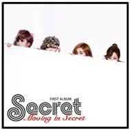 Moving In Secret (The First Album 2011)