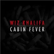 Cabin Fever (2011)