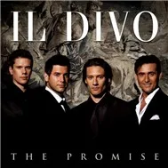 The Promise (2008)