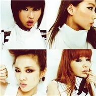 2NE1 Collection (2011)