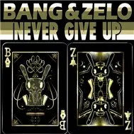 Never Give Up (Single 2011)