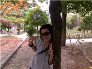V.A - Nhạc Sàn Collection