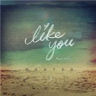 Like You (Single 2012)