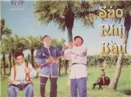 Độc Tấu Sáo Nhị Bầu