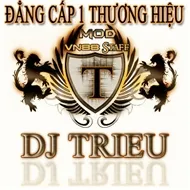 Dj Triệu