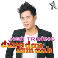 Đừng Làm Đau Anh (2012)