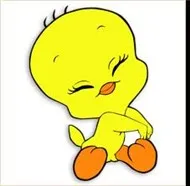 LOVELY TWEETY
