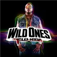 Wild Ones (2012)