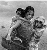 Tình Mẹ (Collection)