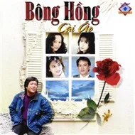 Bông Hồng Cài Áo