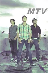 MTV Collection (2012)