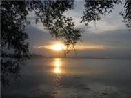 Giọt lệ sầu