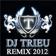 Dj Triệu Remix 2012