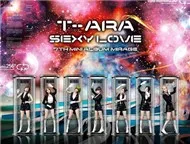 T-ara Collection (2012)