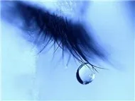 Nhạc không lời ... hay...với ai biết thưởng thức!!