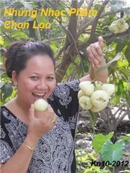 Những Tuyệt Phẩm Chọn Lọc