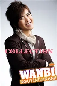 Wanbi Tuấn Anh Collection (2012)